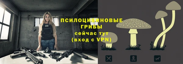 амфетамин Алексин