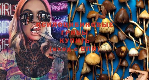 кокс Алексеевка