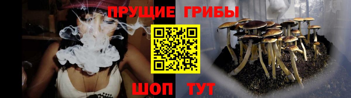 как найти наркотики  Вход с VPN  Боровичи  Галлюциногенные грибы MAGIC MUSHROOMS  Галлюциногенные грибы Psilocybine cubensis 
