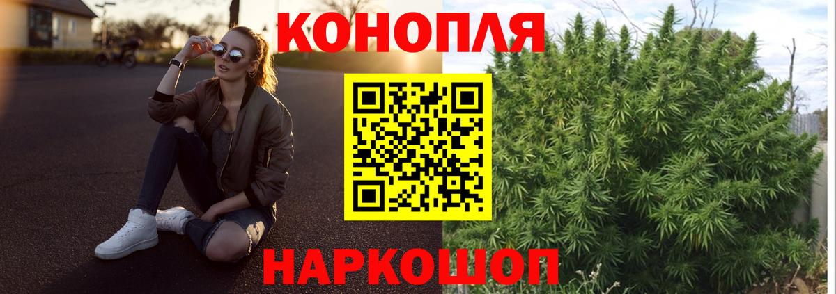 Бошки марихуана Bruce Banner Боровичи